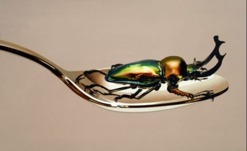 Cómo dibujar una foto: Increíbles pinturas hiperrealistas de un artista surcoreano