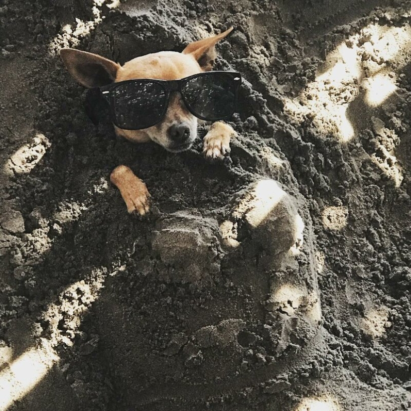 Cómo entretener a ti mismo en la playa? Antes de que la diversión no puede resistirse a nadie Cómo entretener a ti mismo en la playa? Antes de que la diversión no puede resistirse a nadie