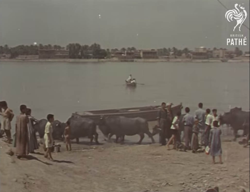 Cómo era Irak antes de la guerra y las sanciones