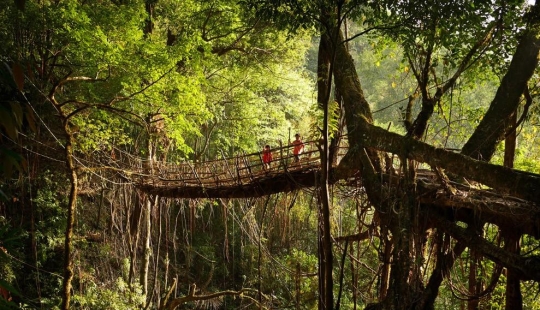 Cómo es el lugar más húmedo de la Tierra, una ciudad en el estado indio de Meghalaya Cómo es el lugar más húmedo de la Tierra, una ciudad en el estado indio de Meghalaya
