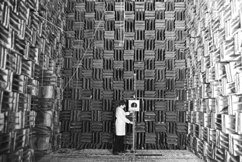 ¿Cómo es el lugar más tranquilo de la Tierra, donde la ausencia de sonidos te vuelve loco? ¿Cómo es el lugar más tranquilo de la Tierra, donde la ausencia de sonidos te vuelve loco?