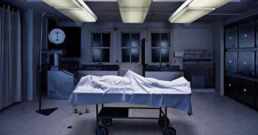 Cómo funciona Viagra en hombres, mujeres y niños sanos Cómo funciona Viagra en hombres, mujeres y niños sanos