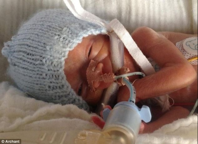 Cómo funciona Viagra en hombres, mujeres y niños sanos Cómo funciona Viagra en hombres, mujeres y niños sanos