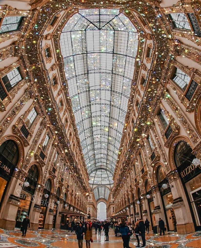 Cómo hacer que el mundo brille: 25 obras brillantes de Sarah Shakil