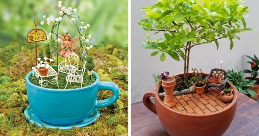 Cómo hacer un jardín en una taza de té: 25 ideas creativas