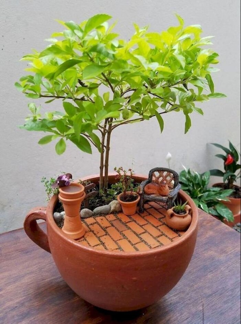 Cómo hacer un jardín en una taza de té: 25 ideas creativas