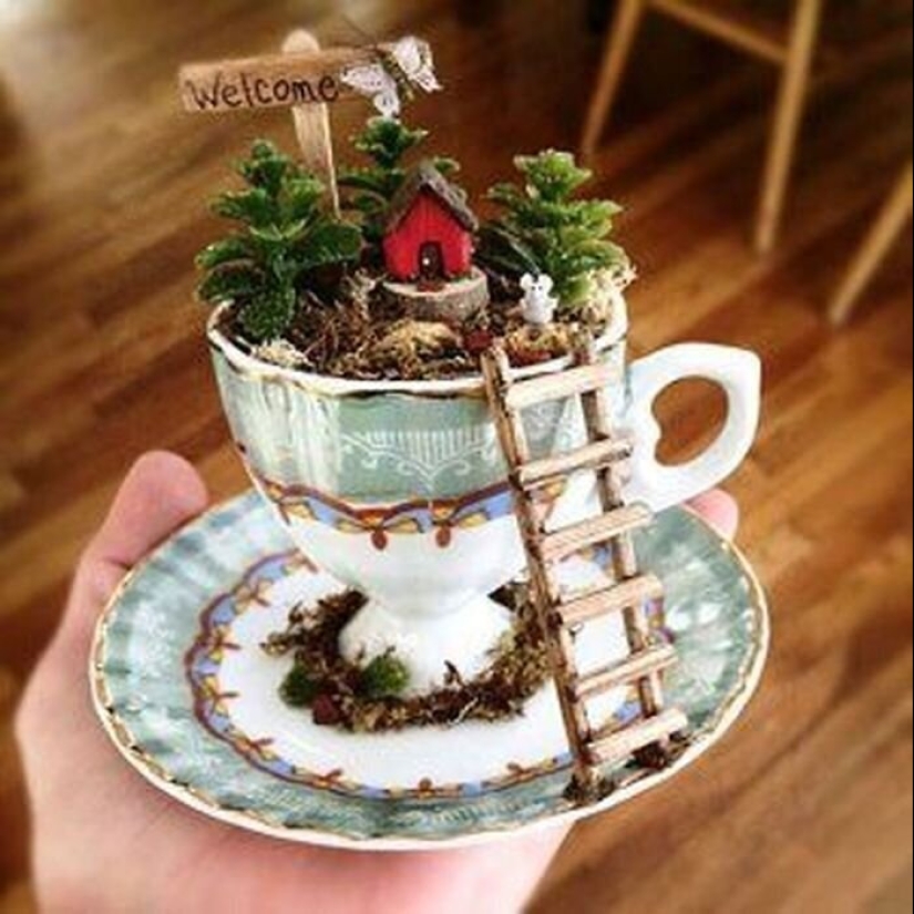 Cómo hacer un jardín en una taza de té: 25 ideas creativas