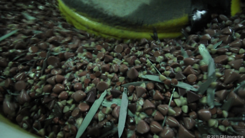 Cómo hacer una navaja suiza Cómo hacer una navaja suiza