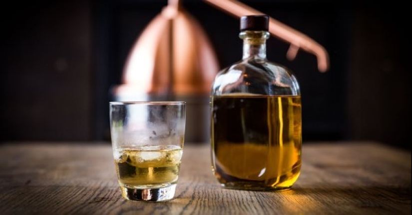 Cómo hacer whisky con alcohol ilegal: proporciones, recetas y consejos Cómo hacer whisky con alcohol ilegal: proporciones, recetas y consejos