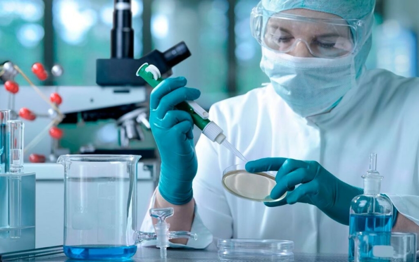 Cómo la caries se apoderó del mundo