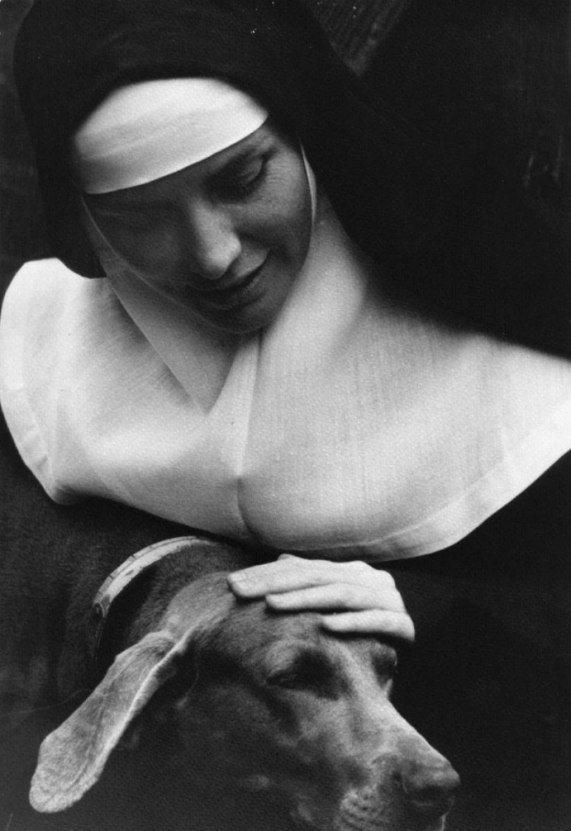 Cómo la estrella de Hollywood Dolores Hart sacudió los cimientos de la"fábrica de sueños" Cómo la estrella de Hollywood Dolores Hart sacudió los cimientos de la"fábrica de sueños"