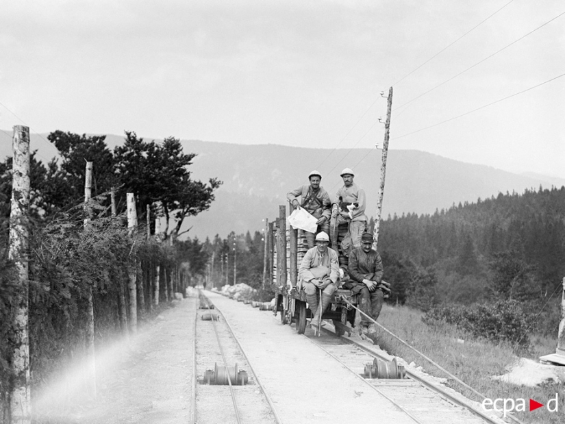 Cómo los gatos tomó parte en la guerra Cómo los gatos tomó parte en la guerra