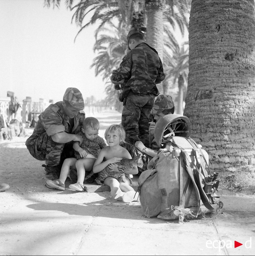 Cómo los gatos tomó parte en la guerra Cómo los gatos tomó parte en la guerra