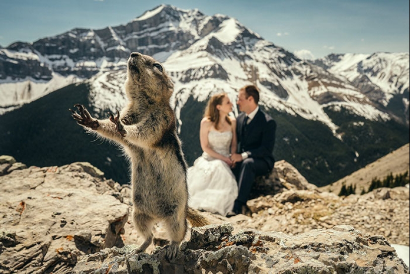Cómo los niños, los animales y los invitados echan a perder las fotos de la boda Cómo los niños, los animales y los invitados echan a perder las fotos de la boda