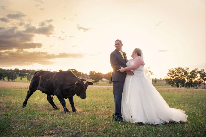 Cómo los niños, los animales y los invitados echan a perder las fotos de la boda Cómo los niños, los animales y los invitados echan a perder las fotos de la boda
