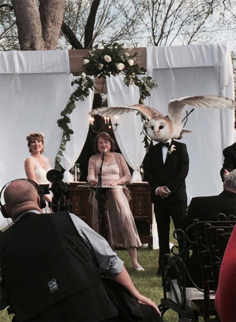Cómo los niños, los animales y los invitados echan a perder las fotos de la boda Cómo los niños, los animales y los invitados echan a perder las fotos de la boda