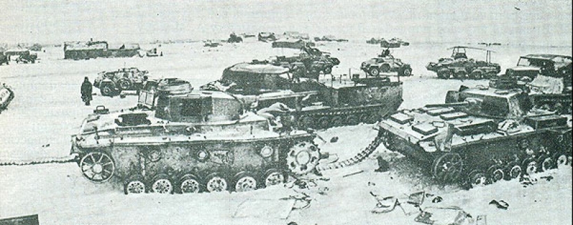 Cómo los ratones ayudaron a derrotar al Ejército Rojo de los alemanes en las batallas por Stalingrado Cómo los ratones ayudaron a derrotar al Ejército Rojo de los alemanes en las batallas por Stalingrado