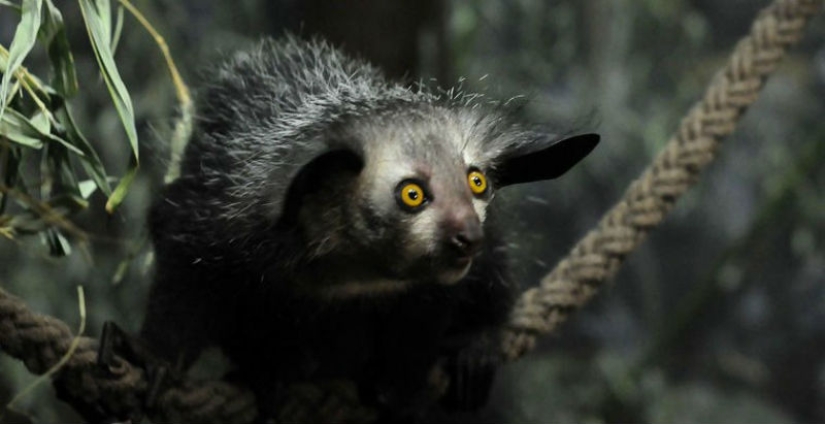 Cómo se hace un verdadero anti-mi-mi-mi Cómo se hace un verdadero anti-mi-mi-mi