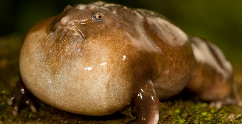 Cómo se hace un verdadero anti-mi-mi-mi Cómo se hace un verdadero anti-mi-mi-mi