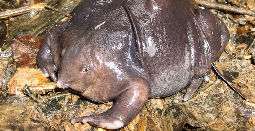 Cómo se hace un verdadero anti-mi-mi-mi Cómo se hace un verdadero anti-mi-mi-mi