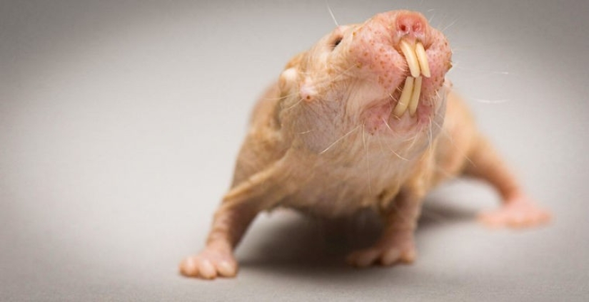 Cómo se hace un verdadero anti-mi-mi-mi Cómo se hace un verdadero anti-mi-mi-mi