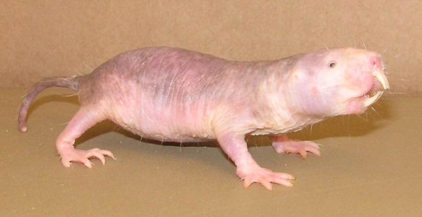 Cómo se hace un verdadero anti-mi-mi-mi Cómo se hace un verdadero anti-mi-mi-mi