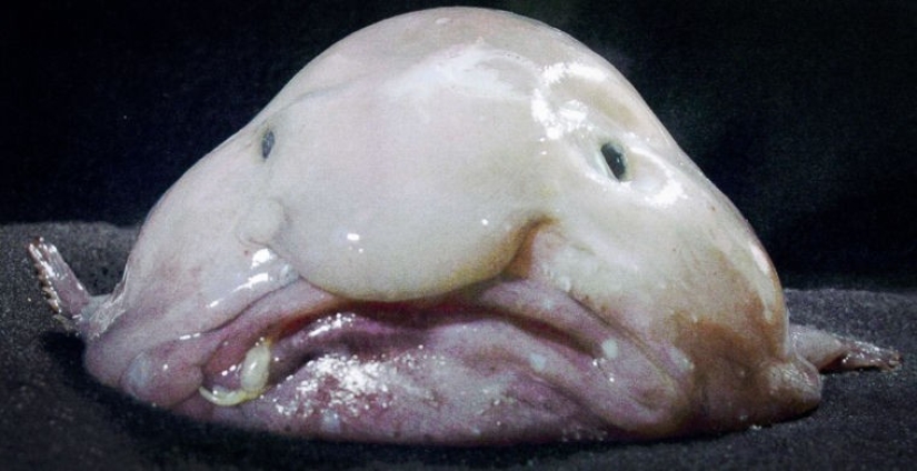 Cómo se hace un verdadero anti-mi-mi-mi Cómo se hace un verdadero anti-mi-mi-mi