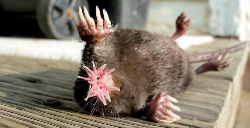 Cómo se hace un verdadero anti-mi-mi-mi Cómo se hace un verdadero anti-mi-mi-mi