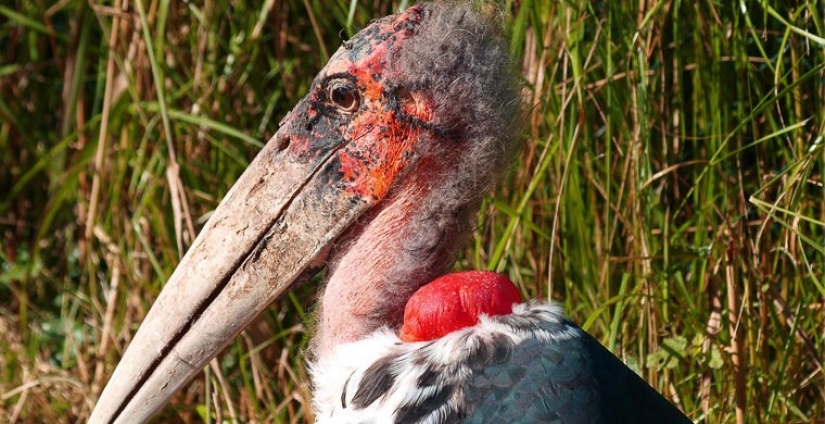 Cómo se hace un verdadero anti-mi-mi-mi Cómo se hace un verdadero anti-mi-mi-mi