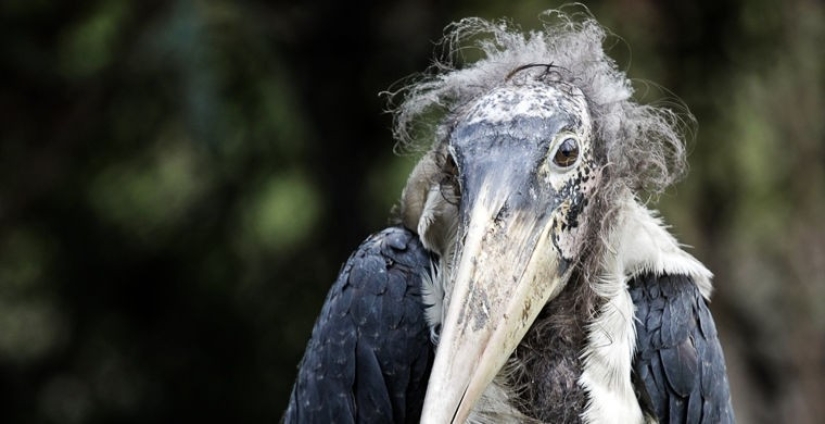 Cómo se hace un verdadero anti-mi-mi-mi Cómo se hace un verdadero anti-mi-mi-mi