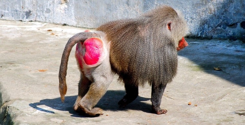 Cómo se hace un verdadero anti-mi-mi-mi Cómo se hace un verdadero anti-mi-mi-mi