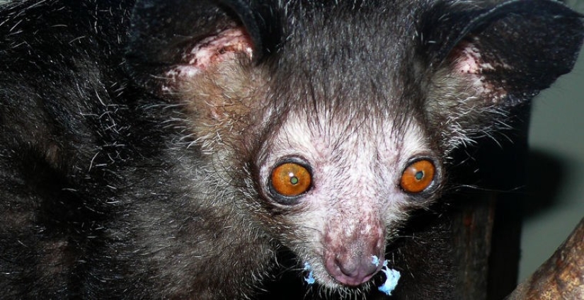 Cómo se hace un verdadero anti-mi-mi-mi Cómo se hace un verdadero anti-mi-mi-mi