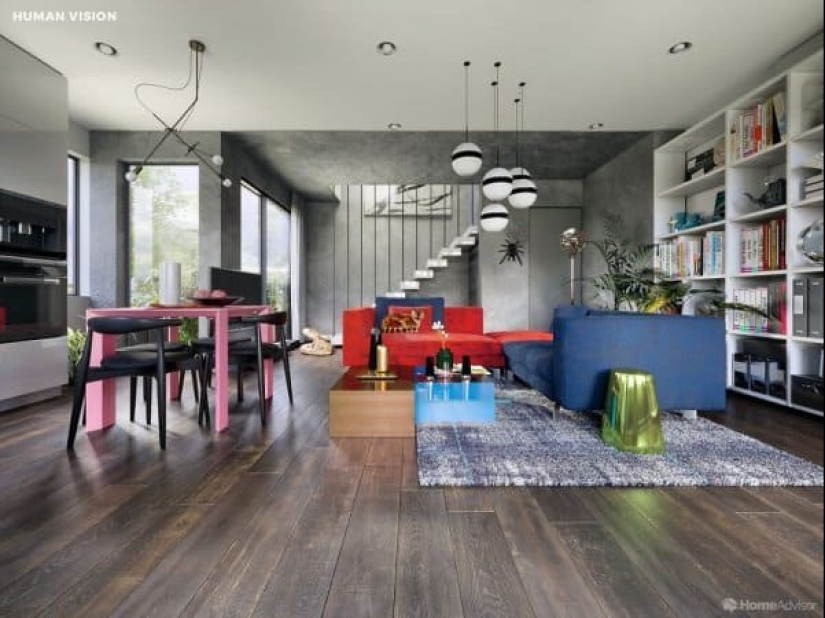 Cómo se ve el mundo a través de los ojos de los gatos, perros y peces del acuario Cómo se ve el mundo a través de los ojos de los gatos, perros y peces del acuario