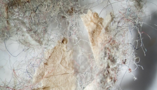 Cómo se ve el polvo de su hogar bajo un microscopio Cómo se ve el polvo de su hogar bajo un microscopio