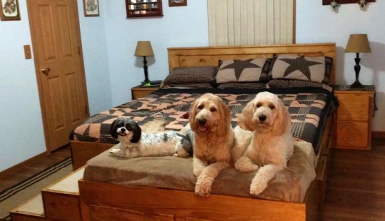 ¿Cómo se ve una cama especial con un lugar para dormir para mascotas?