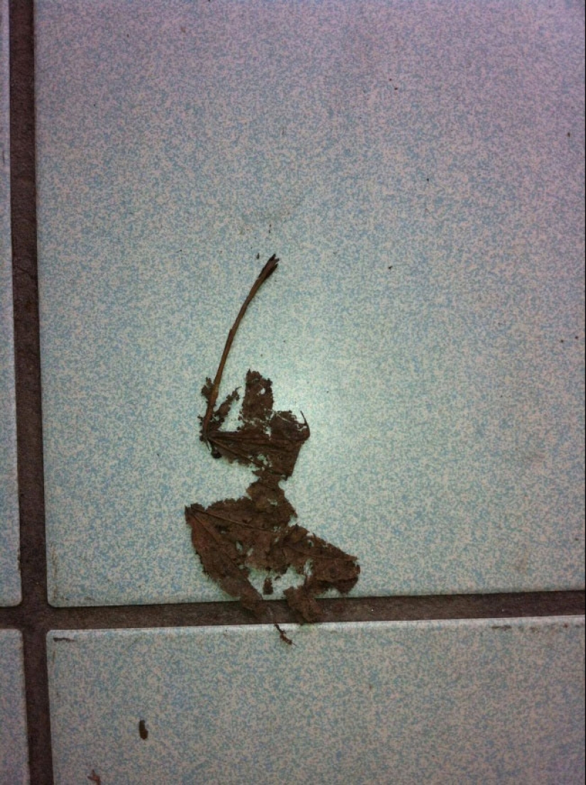 ¿Cómo son los cables? 22 pruebas para una imaginación desarrollada ¿Cómo son los cables? 22 pruebas para una imaginación desarrollada