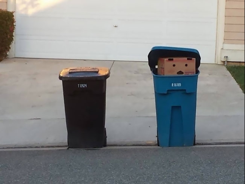 ¿Cómo son los cables? 22 pruebas para una imaginación desarrollada ¿Cómo son los cables? 22 pruebas para una imaginación desarrollada