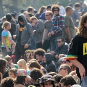 Code 420: what connects us fans of marijuana with this figure