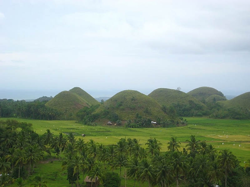 Colinas de Chocolate de la isla de Bohol
