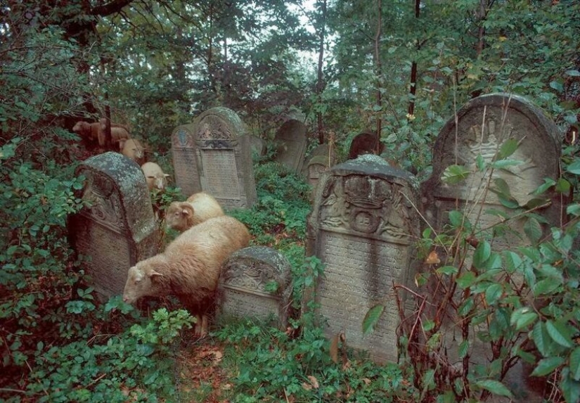 Color photographs of life in Poland in the early 1980s