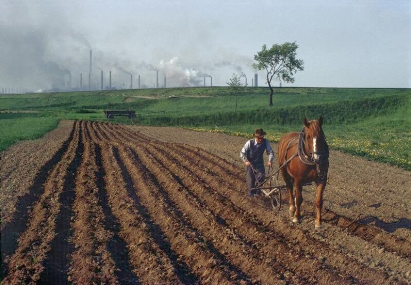 Color photographs of life in Poland in the early 1980s