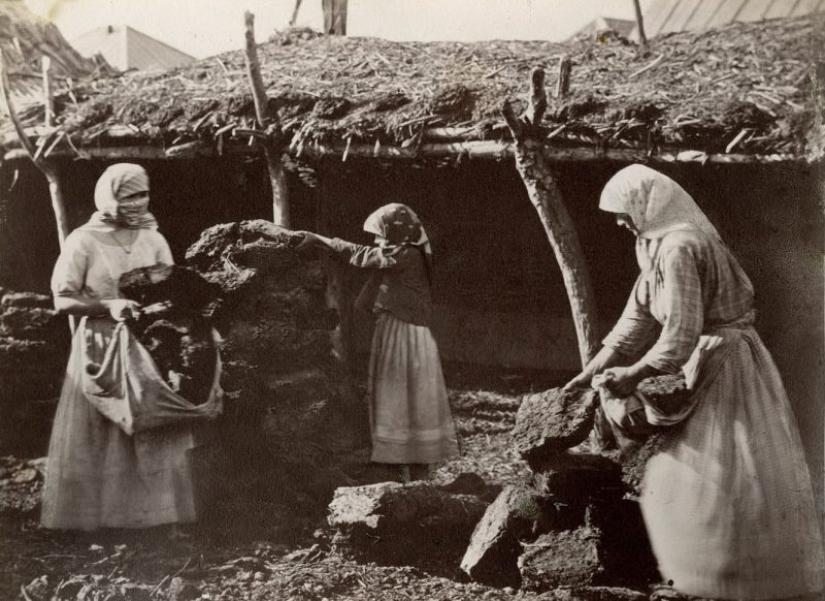 Como estaba acordado, "la familia sueca" de los Cosacos del don, antes de la llegada de "espiritual scrapie" Como estaba acordado, "la familia sueca" de los Cosacos del don, antes de la llegada de "espiritual scrapie"