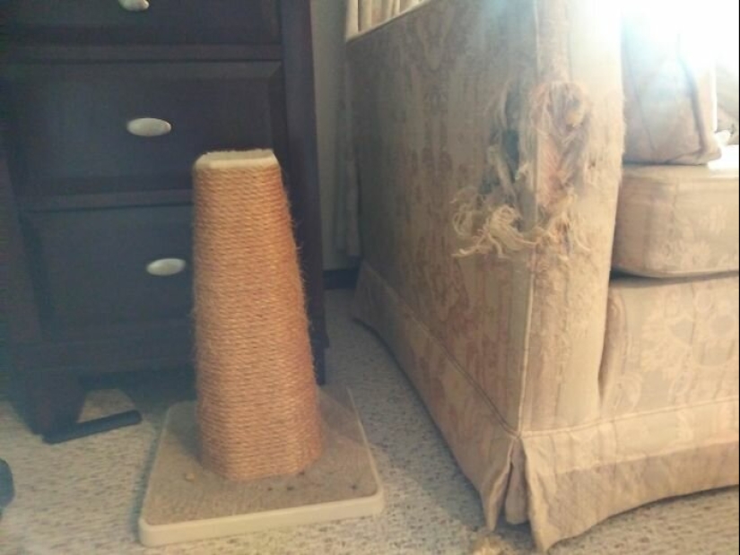 "Como mucho triset!" 40 exasperante situaciones donde las bagatelas discompose "Como mucho triset!" 40 exasperante situaciones donde las bagatelas discompose