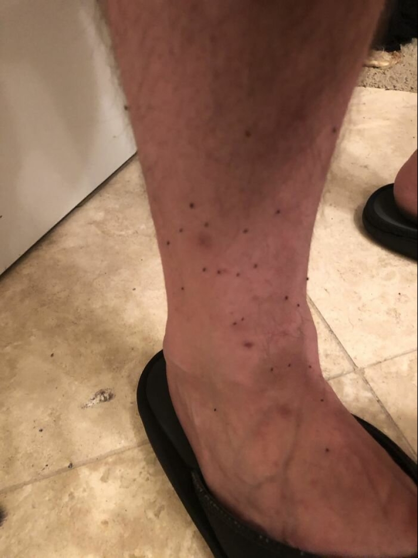 "Como mucho triset!" 40 exasperante situaciones donde las bagatelas discompose "Como mucho triset!" 40 exasperante situaciones donde las bagatelas discompose