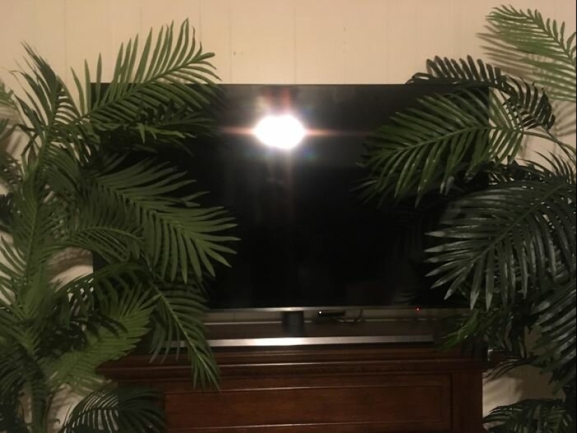 "Como mucho triset!" 40 exasperante situaciones donde las bagatelas discompose "Como mucho triset!" 40 exasperante situaciones donde las bagatelas discompose