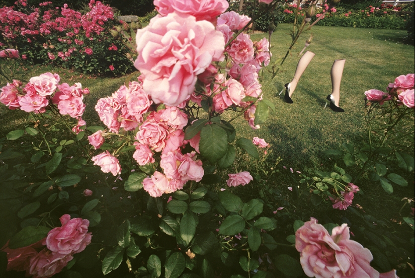 Como una provocación y las partes del cuerpo ayudó el Francés para convertirse en una leyenda fotos Como una provocación y las partes del cuerpo ayudó el Francés para convertirse en una leyenda fotos