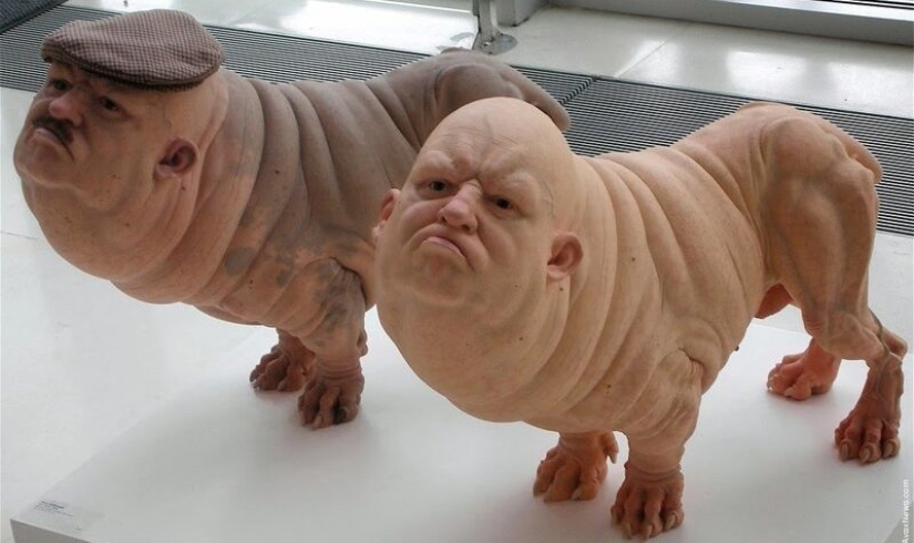 Con qué animales se puede cruzar una persona Con qué animales se puede cruzar una persona