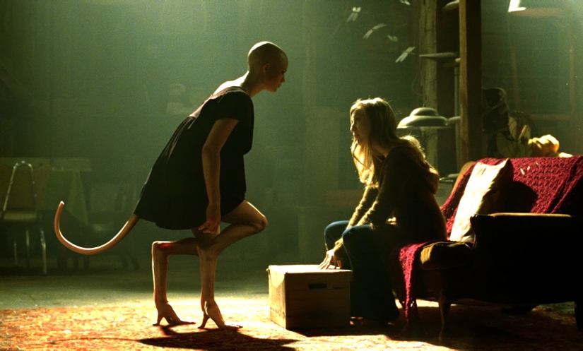 Con qué animales se puede cruzar una persona Con qué animales se puede cruzar una persona