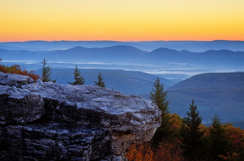 Conoce a los Whittakers: cómo vive la familia de incesto más famosa de EE.UU. Conoce a los Whittakers: cómo vive la familia de incesto más famosa de EE.UU.