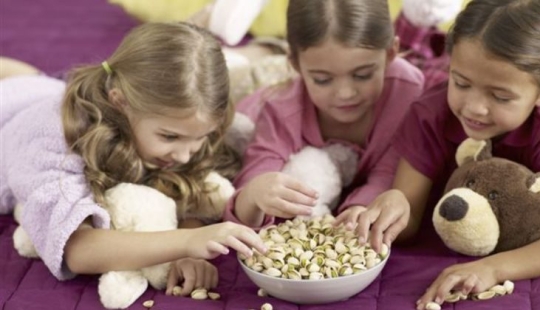 Conspiracy producers of pistachios: why is it so expensive and always in shell